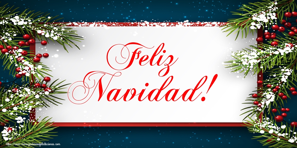 Feliz Navidad!