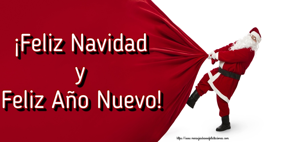 ¡Feliz Navidad y Feliz Año Nuevo!