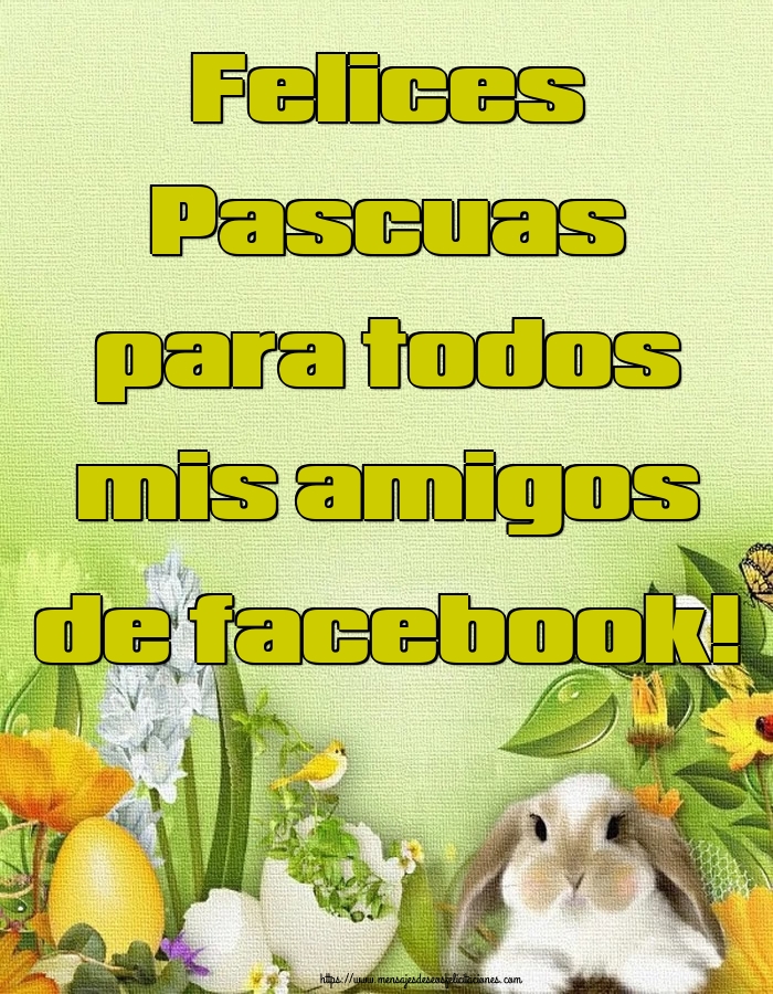 Felices Pascuas para todos mis amigos de facebook!