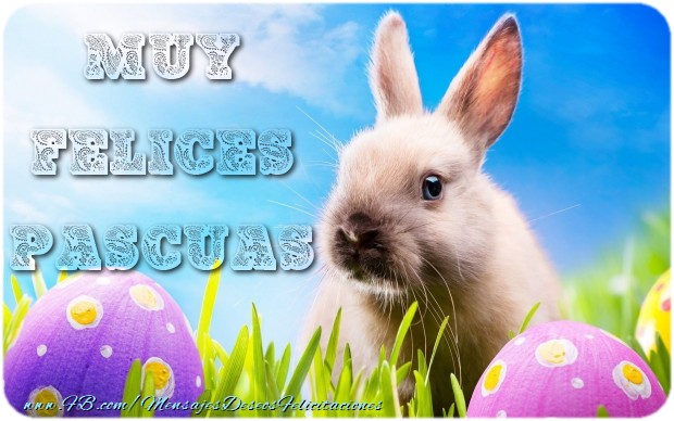 Felicitaciones de pascua - Muy Felices Pascuas - mensajesdeseosfelicitaciones.com