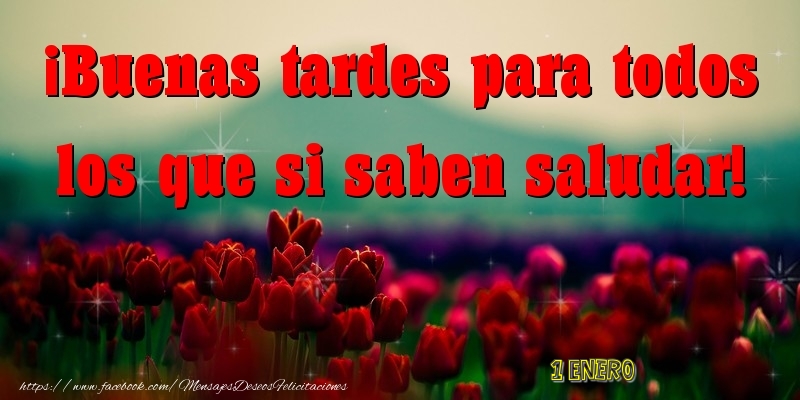1 Enero - Buenas tardes