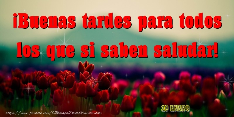 Felicitaciones para 10 Enero - 10 Enero - Buenas tardes