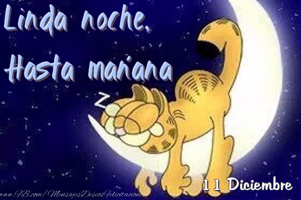 Felicitaciones para 11 Diciembre - 11 Diciembre - Linda noche, Hasta mañana