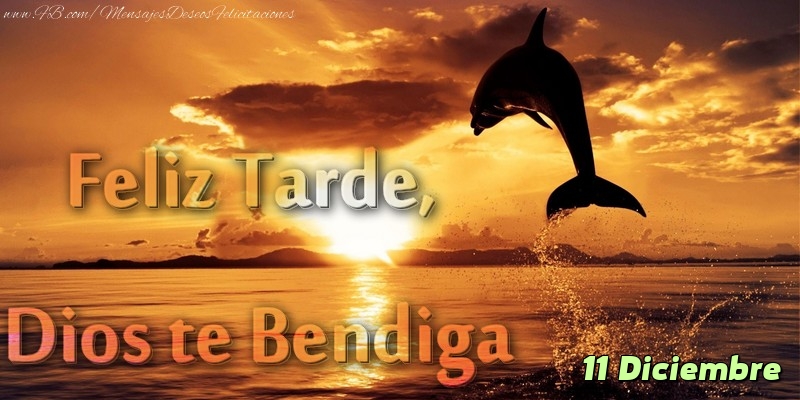 Felicitaciones para 11 Diciembre - 11 Diciembre - Feliz Tarde, Dios te Bendiga