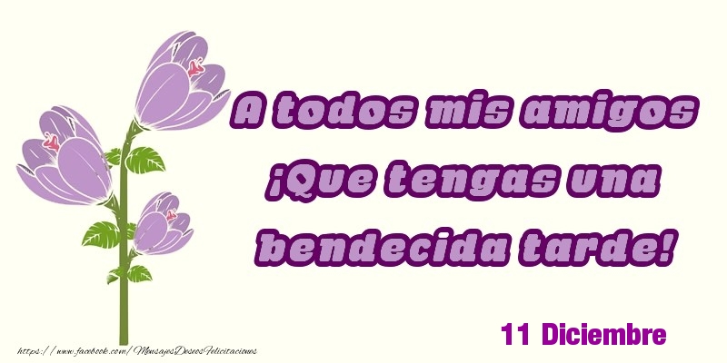 Felicitaciones para 11 Diciembre - 11 Diciembre - A todos mis amigos ¡Que tengas una bendecida tarde!