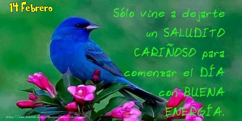 Felicitaciones para 14 Febrero - 14 Febrero - Buenos Días!