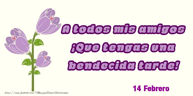 Felicitaciones para 14 Febrero - 14 Febrero - A todos mis amigos ¡Que tengas una bendecida tarde!