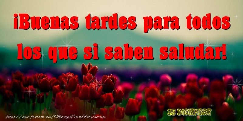 Felicitaciones para 15 Diciembre - 15 Diciembre - Buenas tardes