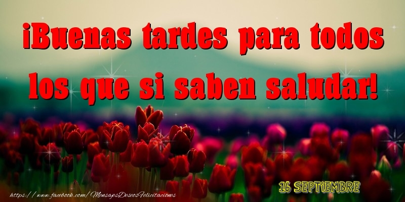 Felicitaciones para 16 Septiembre - 16 Septiembre - Buenas tardes
