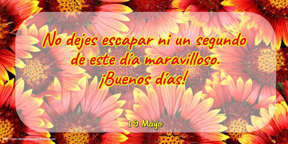 Felicitaciones para 19 Mayo - 19 Mayo - ¡Buenos días!