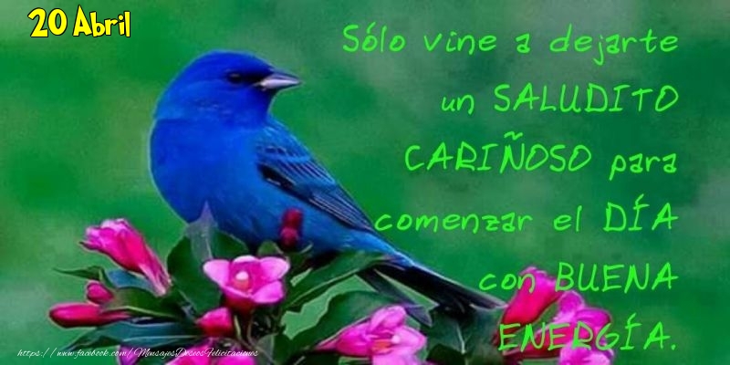 Felicitaciones para 20 Abril - 20 Abril - Buenos Días!