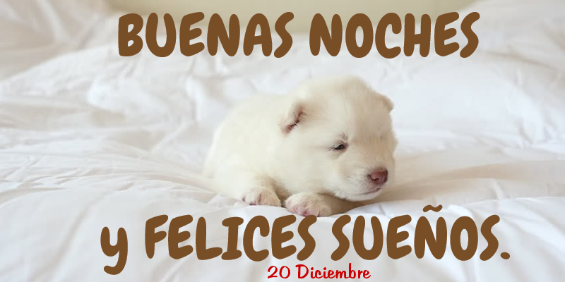 Felicitaciones para 20 Diciembre - 20 Diciembre - Buenas noches!
