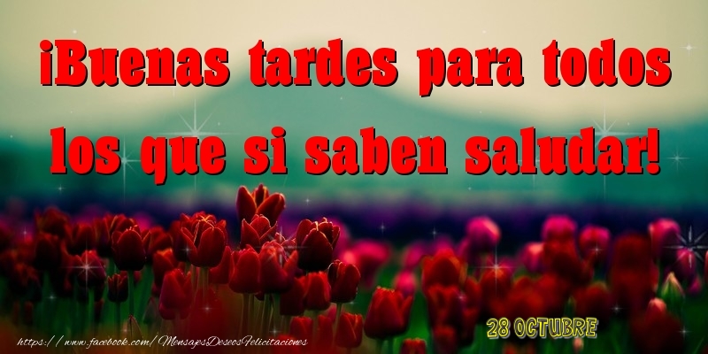 Felicitaciones para 28 Octubre - 28 Octubre - Buenas tardes