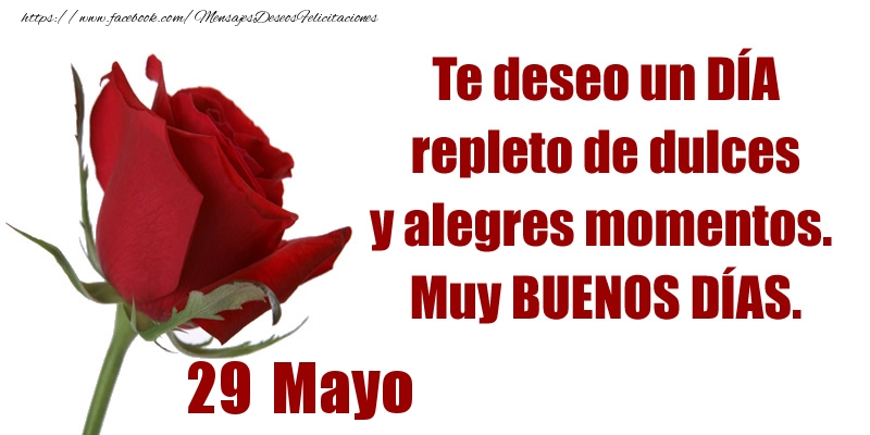 Felicitaciones para 29 Mayo - Te deseo un DÍA repleto de dulces y alegres momentos.  Muy BUENOS DÍAS.