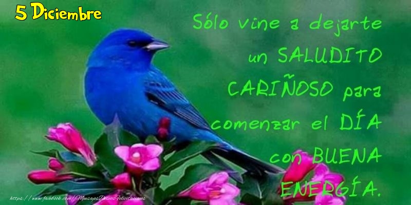 Felicitaciones para 5 Diciembre - 5 Diciembre - Buenos Días!