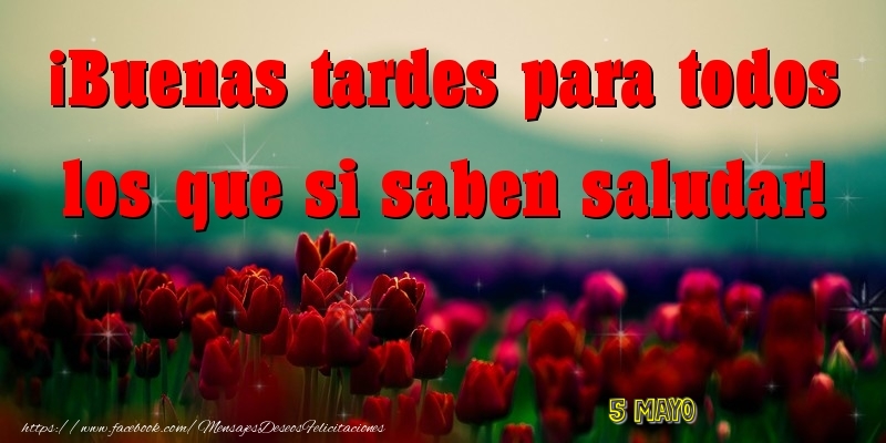 Felicitaciones para 5 Mayo - 5 Mayo - Buenas tardes