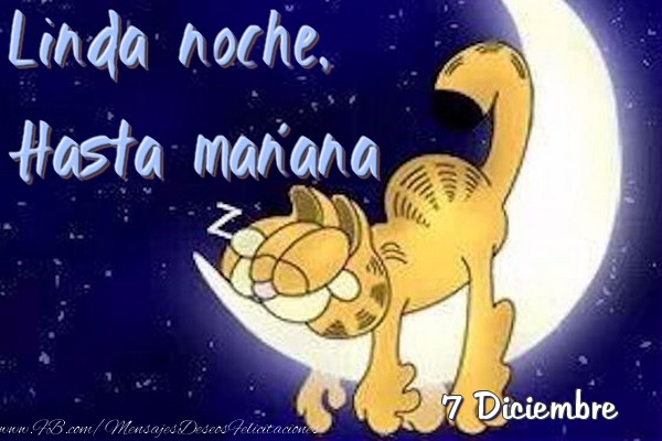 Felicitaciones para 7 Diciembre - 7 Diciembre - Linda noche, Hasta mañana