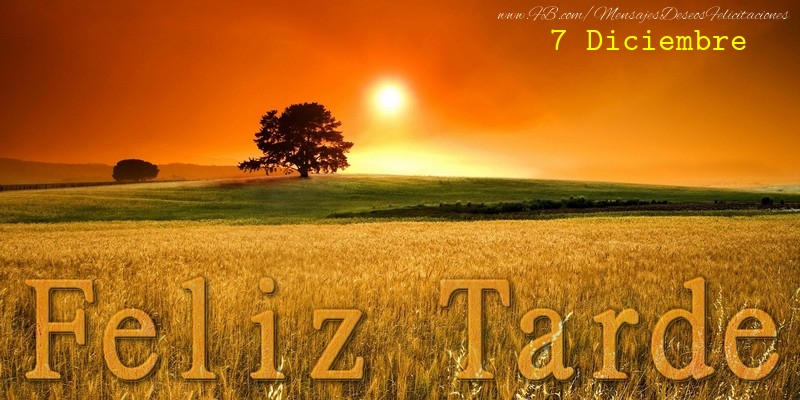 Felicitaciones para 7 Diciembre - 7 Diciembre - Feliz Tarde