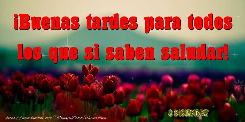 Felicitaciones para 8 Diciembre - 8 Diciembre - Buenas tardes