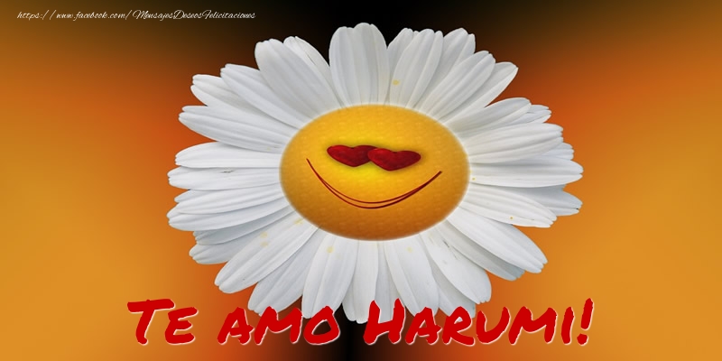 Felicitaciones de amor - Te amo Harumi!