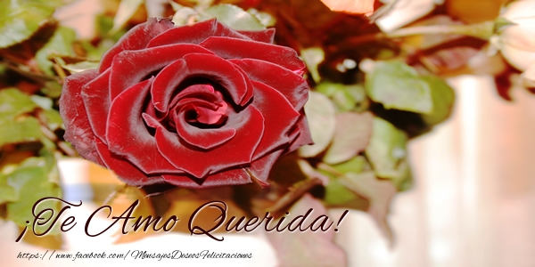 Felicitaciones de amor - ¡Te Amo Querida!