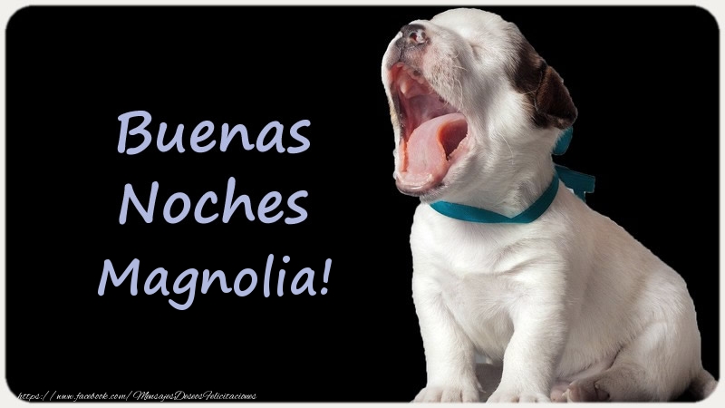 Felicitaciones de buenas noches - Buenas Noches Magnolia!