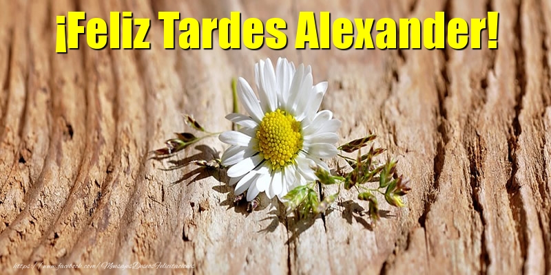 Felicitaciones de buenas tardes - ¡Feliz Tardes Alexander!