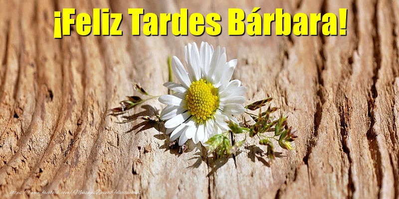 Felicitaciones de buenas tardes - ¡Feliz Tardes Bárbara!
