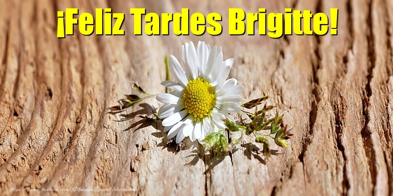 Felicitaciones de buenas tardes - ¡Feliz Tardes Brigitte!