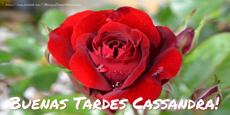 Felicitaciones de buenas tardes - Buenas tardes, Cassandra!
