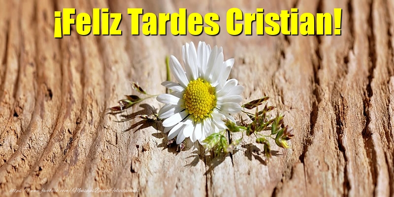 Felicitaciones de buenas tardes - ¡Feliz Tardes Cristian!