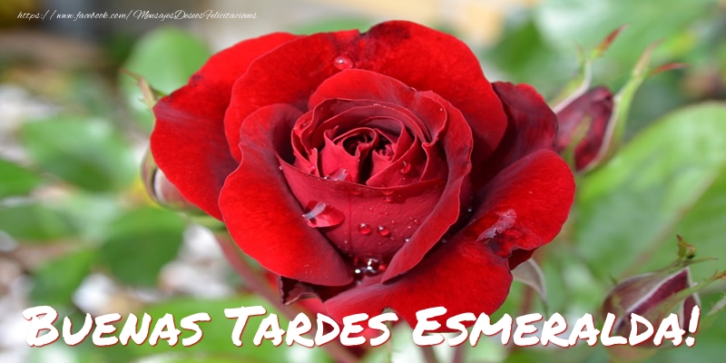 Felicitaciones de buenas tardes - Buenas tardes, Esmeralda!