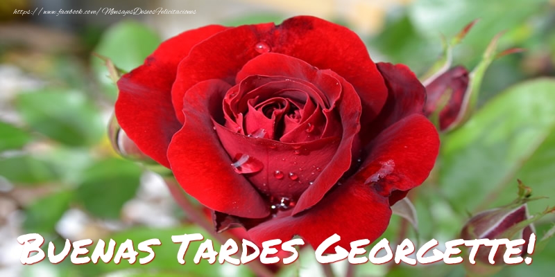 Felicitaciones de buenas tardes - Buenas tardes, Georgette!