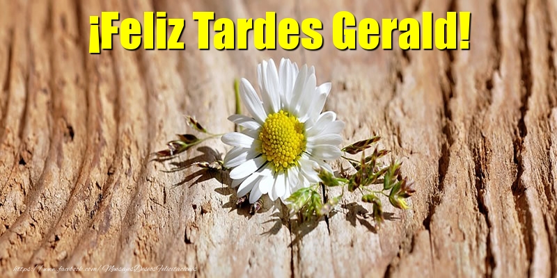 Felicitaciones de buenas tardes - ¡Feliz Tardes Gerald!