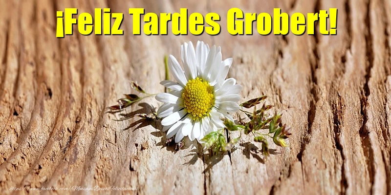 Felicitaciones de buenas tardes - ¡Feliz Tardes Grobert!