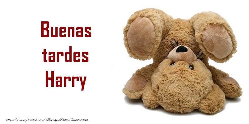 Felicitaciones de buenas tardes - Osos | Buenas tardes Harry