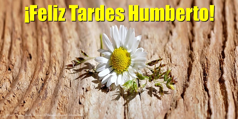 Felicitaciones de buenas tardes - ¡Feliz Tardes Humberto!