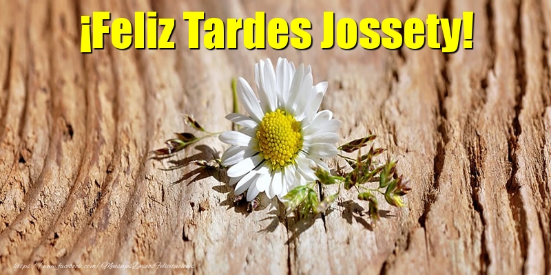 Felicitaciones de buenas tardes - ¡Feliz Tardes Jossety!