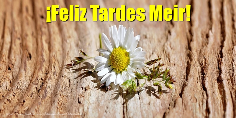 Felicitaciones de buenas tardes - ¡Feliz Tardes Meir!