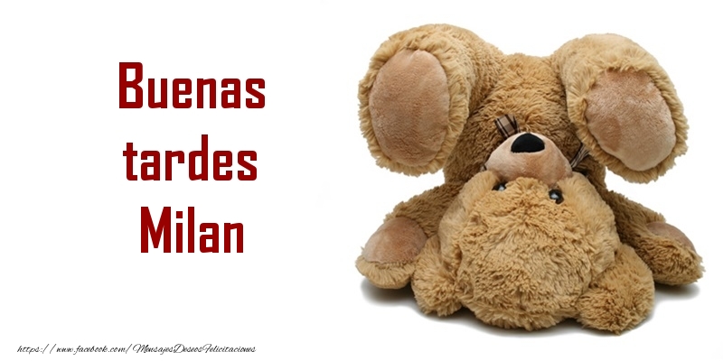 Felicitaciones de buenas tardes - Osos | Buenas tardes Milan