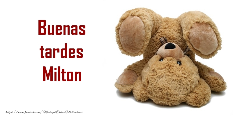Felicitaciones de buenas tardes - Osos | Buenas tardes Milton