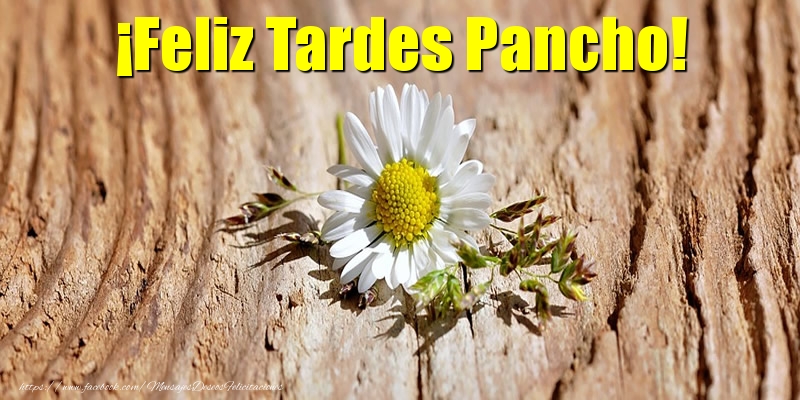Felicitaciones de buenas tardes - ¡Feliz Tardes Pancho!