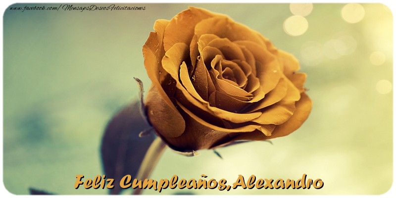 Felicitaciones de cumpleaños - Rosas & Mujers | Feliz Cumpleaños, Alexandro