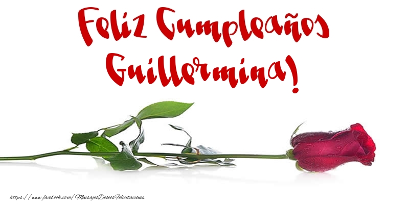 Felicitaciones de cumpleaños - Flores & Rosas & Mujers | Feliz Cumpleaños Guillermina!