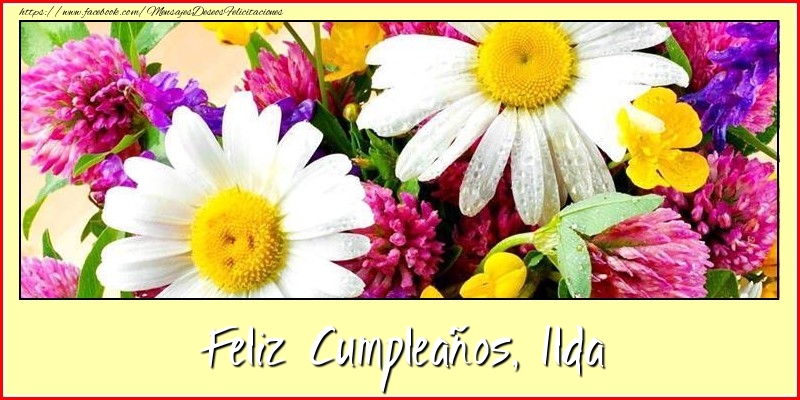 Felicitaciones de cumpleaños - Flores & Mujers | Feliz cumpleaños, Ilda