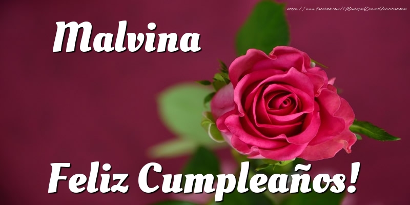 Felicitaciones de cumpleaños - Rosas & Mujers | Malvina Feliz Cumpleaños!