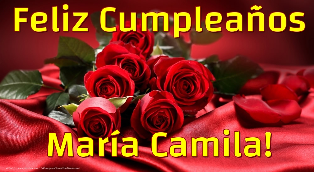 Felicitaciones de cumpleaños - Feliz Cumpleaños María Camila!
