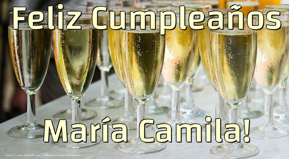 Felicitaciones de cumpleaños - Feliz Cumpleaños María Camila!