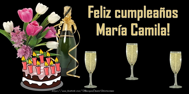 Felicitaciones de cumpleaños - Feliz cumpleaños María Camila!