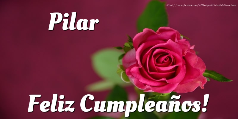 Felicitaciones de cumpleaños - Rosas & Mujers | Pilar Feliz Cumpleaños!